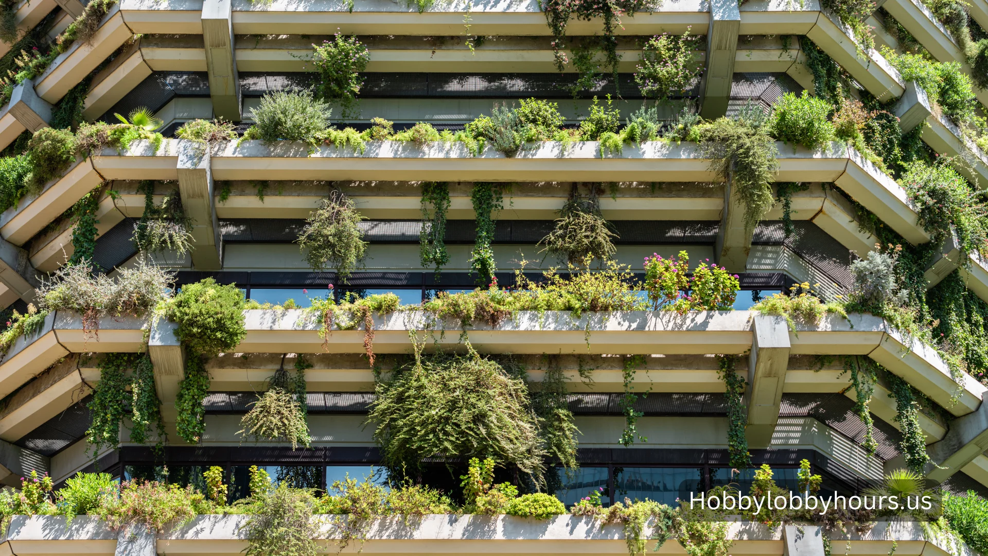 Sustainable Architecture