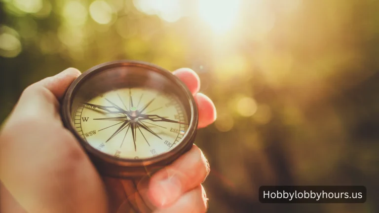 Online Compass vs Magnetic Compass