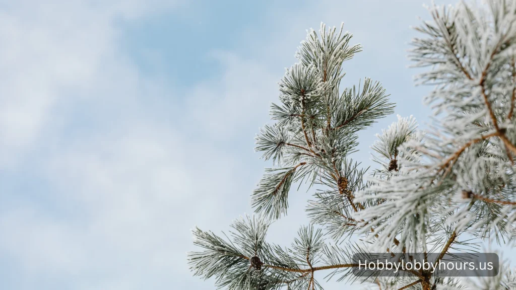 How Many Days in February?